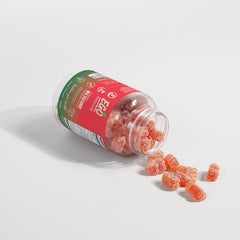 Multivitamin Bear Gummies (Adult)