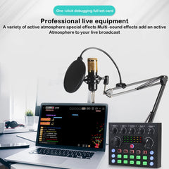 V8S Live Sound Card Podcast Equipment Live Broadcast DJ Device with
